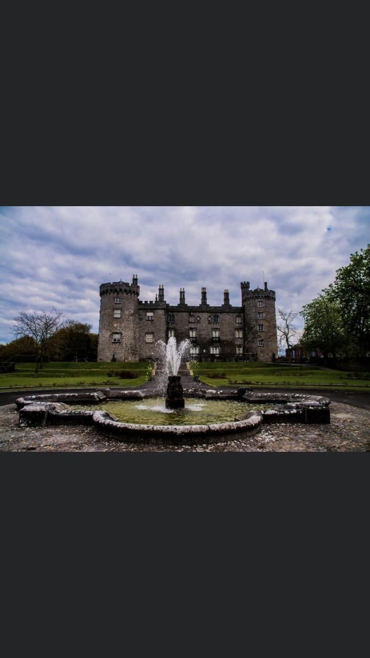 Ballingarry  The Lodge - Rural Tipperary Bordering Kilkenny מראה חיצוני תמונה